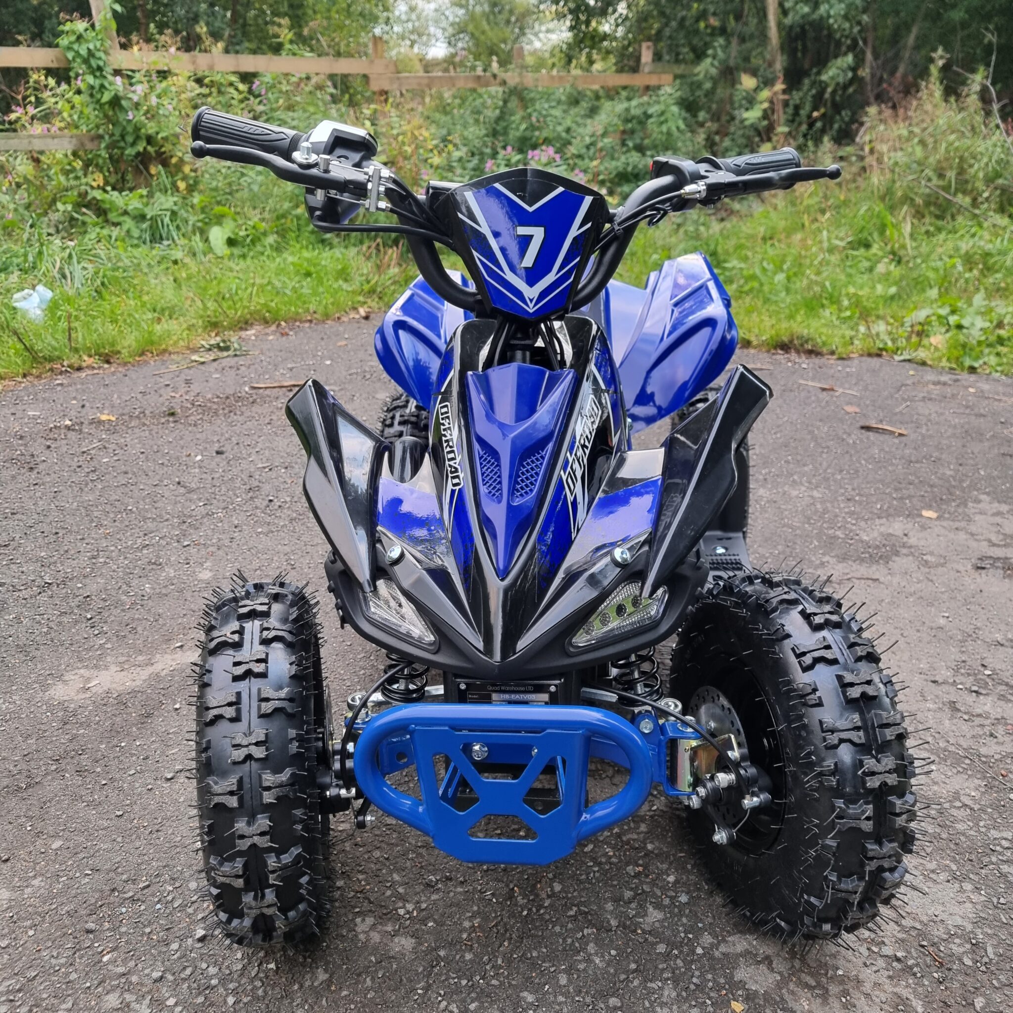 dinosaur electric quad