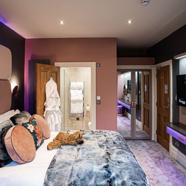 One Night Superior Room At The Cranleigh Boutique - Image 2